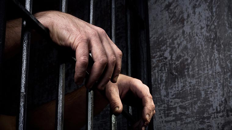 سائیکل چور و موبائل سنیچنگ گینگ گرفتار 