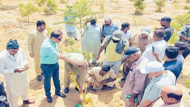  اربن فاریسٹ منصوبہ، ایک لاکھ درخت لگانے کا ہدف مقرر 