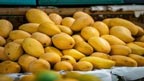 آم ایکسپورٹرز کیلئے ریلیف، ایران و وسطی ایشیا کیلئے بینکنگ استثنیٰ