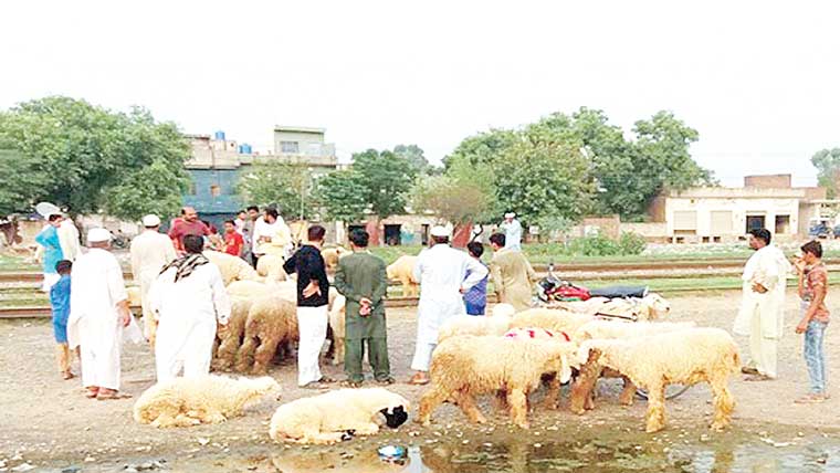 راہوالی:سیل پوائنٹ نہ ہونے سے خود ساختہ منڈیاں قائم 