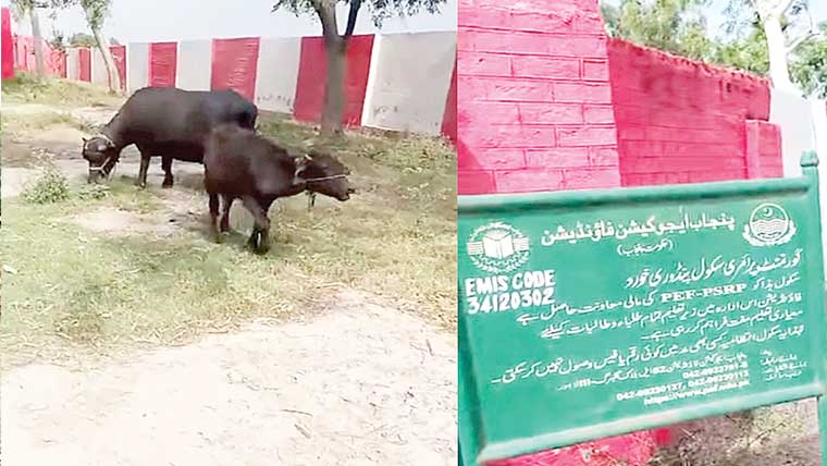 پنڈوری خورد کا آؤٹ سورس سکول باڑے میں تبدیل