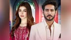 کنزہ ہاشمی کا علی رضا کے حق میں بیان، وائرل ویڈیو پر بحث جاری