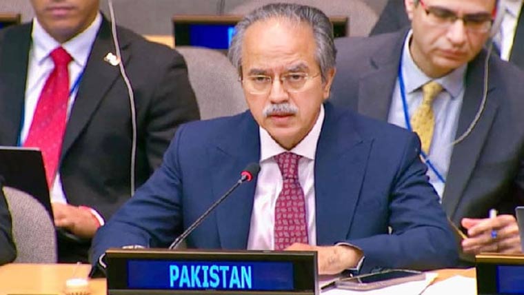 سلامتی کونسل نے پاکستان کی تیار کردہ  سالانہ رپورٹ متفقہ طور پر منظور کر لی 