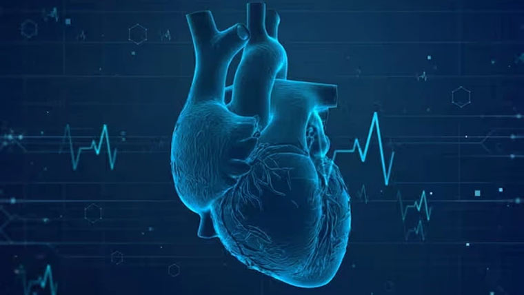 چینی سائنس دانوں نے پیس میکر کا متبادل تیار کرلیا