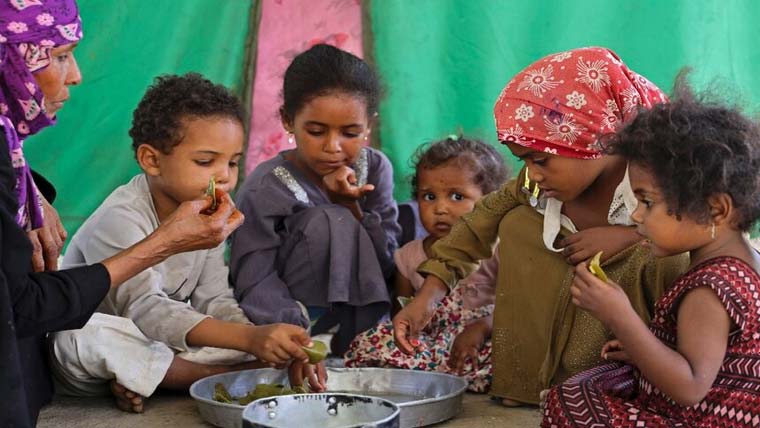 یمن :بھوک سے مجبور خاندان درختوں کے پتے کھانے لگے