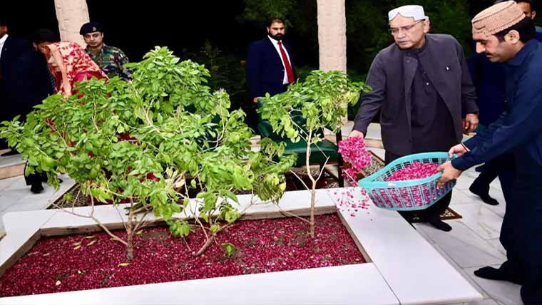 صدرِ زرداری کی والدین  کی قبروں پر حاضری ،فاتحہ خوانی  کی،پھول چڑھائے