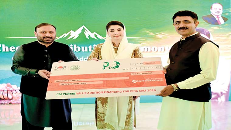 پنک سالٹ ویلیوایڈیشن فنانسنگ سکیم شروع، 5 کروڑ تک قرضے دے رہے : مریم نواز