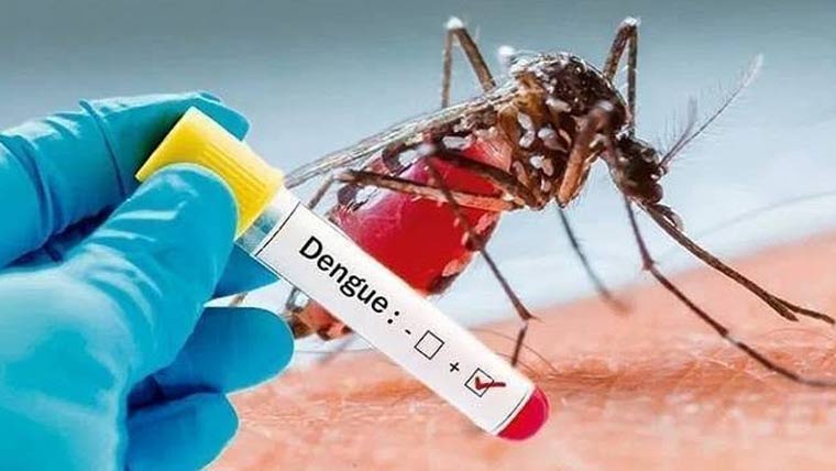 راولپنڈی، ڈینگی کے 12مریض ہسپتالوں میں زیر علاج