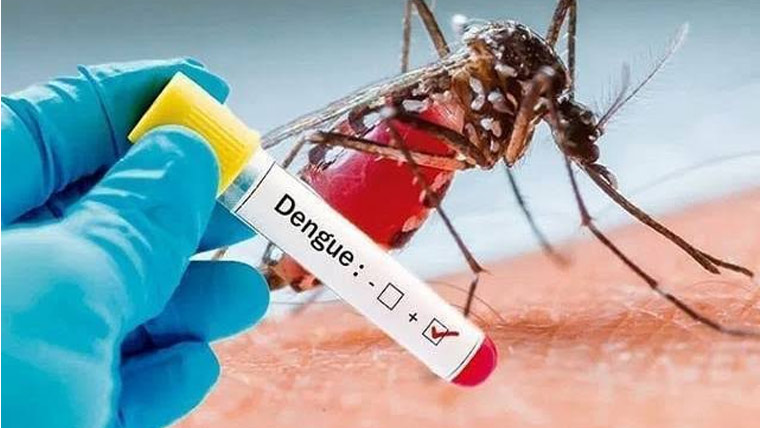 راولپنڈی، رواں سال ڈینگی کے 38کیسز کی تصدیق