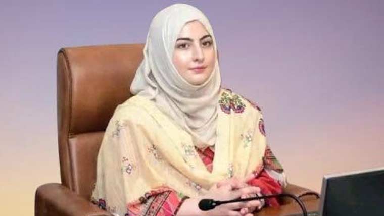 راولپنڈی کی ایڈیشنل ڈپٹی کمشنر پرشوہر کا تشدد ، مقدمہ درج 
