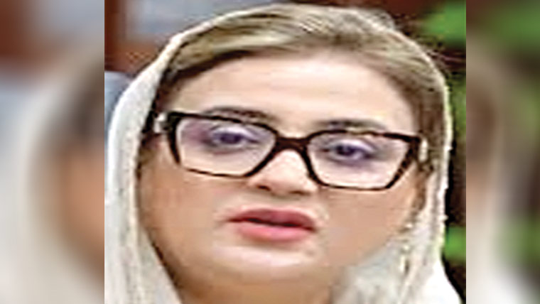 اپنی چھت اپنا گھر میں سیاست نہیں 