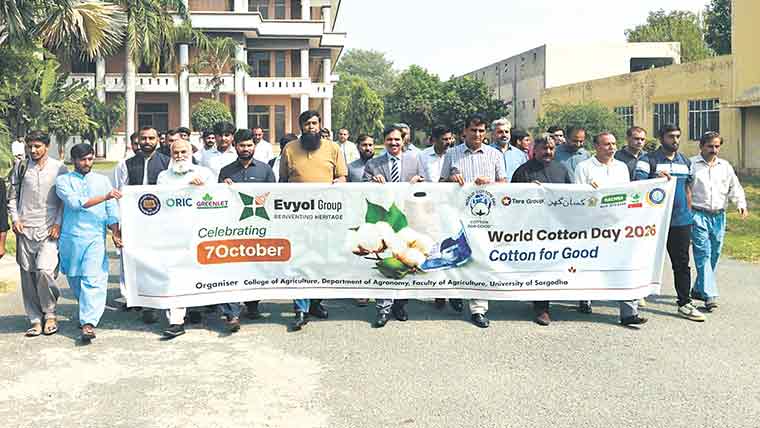 فیکلٹی آف ایگریکلچر کے زیر اہتمام  عالمی یومِ کپاس پر آگاہی واک 
