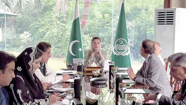 مریم  نواز  کی  ہر  ضلع  میں  پارکس  اینڈ  ہارٹی  کلچر  اتھارٹیز  قائم  کرنیکی   منظوری