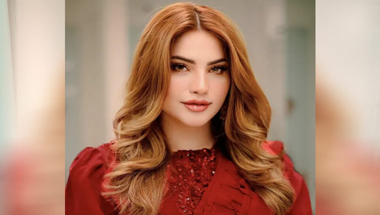 نیلم منیر کے ہاں بیٹے کی پیدائش ،مداحوں کی مبارک باد 