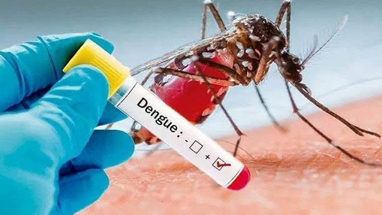 راولپنڈی، رواں سال ڈینگی کے 49کیسز، کوئی ہلاکت نہیں ہوئی