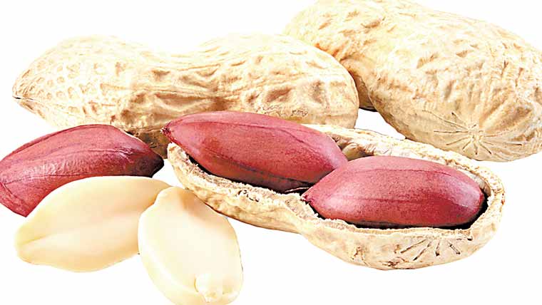 مونگ پھلی ذیابیطس ٹائپ 2کا خطرہ کم کرنے میں مددگار