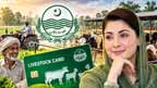 لائیو  سٹاک  کارڈ  کے  دوسرے  مرحلے  کا  آغاز،مریم  نواز  کا  ڈیجیٹل  افتتاح