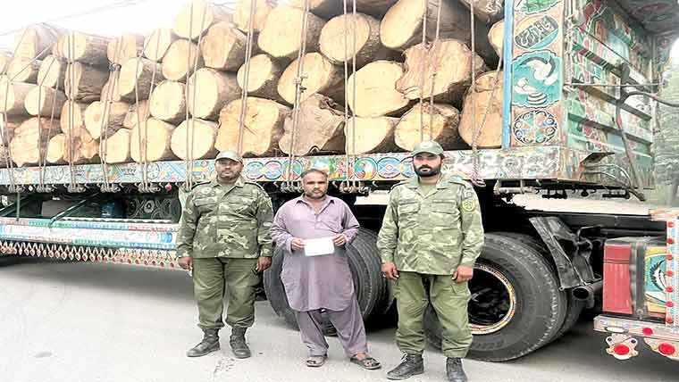  لاکھوں روپے مالیت کی قیمتی لکڑی  بغیر ٹرانزٹ پرمٹ پکڑی گئی