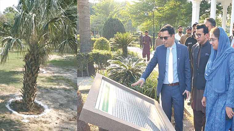  ’’ٹری ٹرانسپلانٹیشن آرچرڈ‘‘ شہریوں کیلئے کھول دیا گیا 