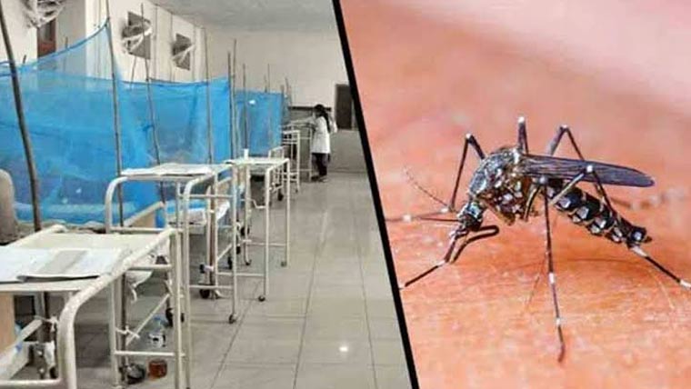 یکم جنوری سے 16اکتوبر، ڈینگی کے 42کیسز رپورٹ