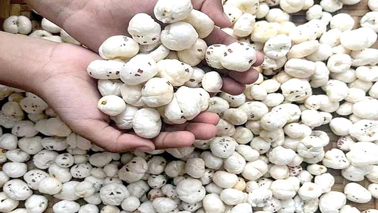 پھُل مخانے سمیت کئی اشیا فریج کے بغیر سالوں ٹھیک رہتیں