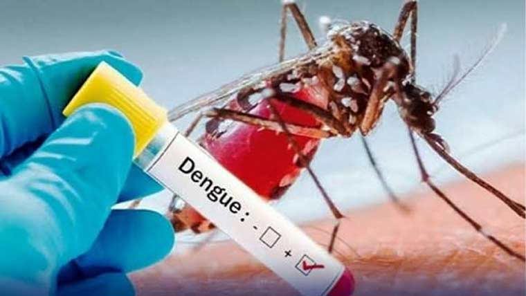 پنجاب:رواں سال ڈینگی کے مریضوں کی تعداد 270 ہوگئی