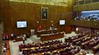 سینیٹ :سابق ارکانِ پارلیمنٹ کیلئے تاحیات سرکاری پاسپورٹ، بل منظور 