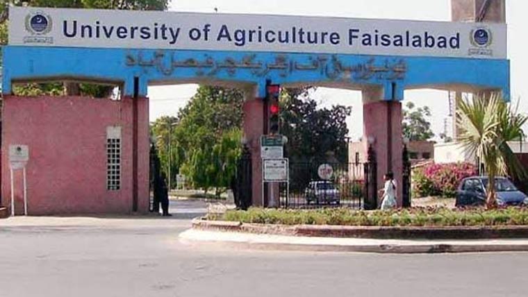 زرعی یونیورسٹی اور جنگلاتی تحقیقاتی ادارے میں معاہدہ، درختوں میں جینیاتی تنوع کا تجزیہ بھی کیا جائیگا
