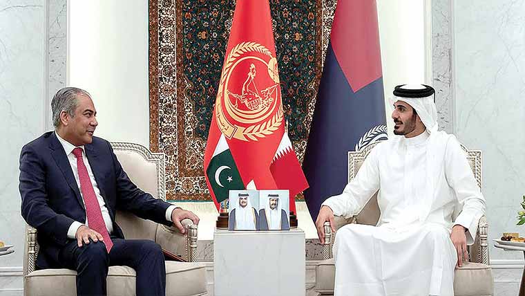 وزیر داخلہ محسن نقوی کی قطری ہم منصب سے ملاقات