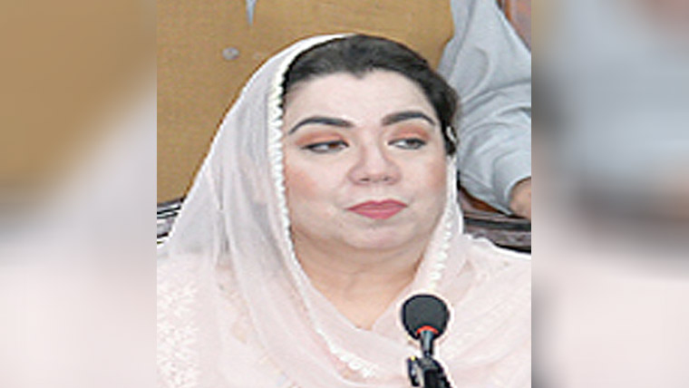  پی ٹی آئی سرگرمیاں سوشل میڈیا تک محدود 