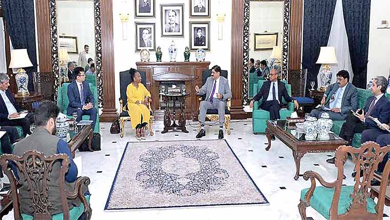 وزیراعلیٰ سے اقوام متحدہ کے ادارے یونیڈو کے وفد کی ملاقات 
