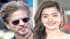 رشمیکا مندانا کی شاہ رخ خان کے  ساتھ فلم میں کام کرنے کی خواہش 
