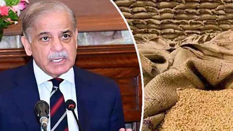 گندم  کی  مجوزہ  قیمت4500روپے  فی  من  مقرر،ایک  ہزار  روپے  کا  اضافہ:کسانوں  کی  مہنگائی  میں  ریلیف  دینا  چاہتے  ہیں:شہباز  شریف