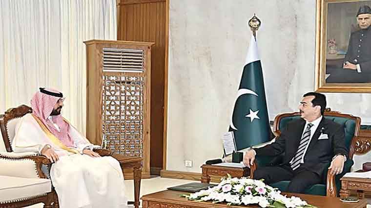  قائم مقام صدر سے سعودی سفیر کی ملاقات ، مختلف امور پر گفتگو 