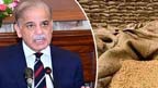 گندم  کی  مجوزہ  قیمت4500روپے  فی  من  مقرر،ایک  ہزار  روپے  کا  اضافہ:کسانوں  کی  مہنگائی  میں  ریلیف  دینا  چاہتے  ہیں:شہباز  شریف