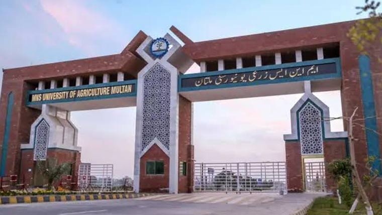 چھاتی میں گلٹی کی صورت ڈاکٹر  سے رجوع کریں،ڈاکٹر فاطمہ 