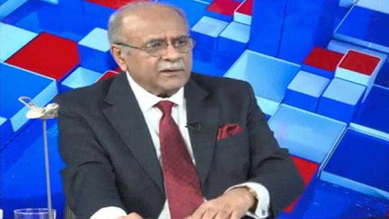 28ویں ترمیم پر پیپلزپارٹی سے معاملات طے ہونگے :نجم سیٹھی