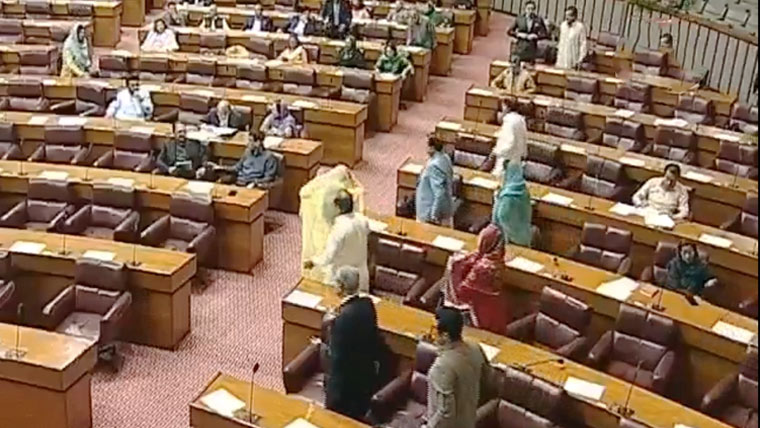  سینیٹ میں تلخ کلامی ، پیپلزپارٹی کا واک آؤٹ 