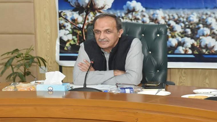 پوٹھوہار میں زیتون کے 2لاکھ پودے لگائے گئے ، شکیل احمد 
