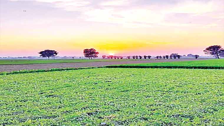 سرکاری زمین پر قبضہ کی کوشش 