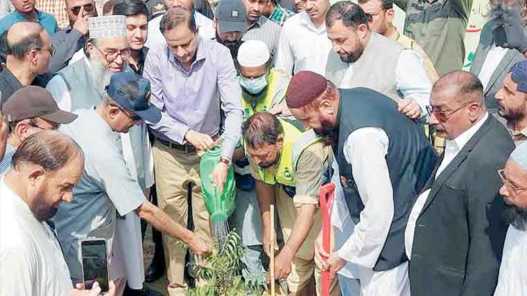 آوارہ کتوں کی تلفی ،نس بندی پر فوری فیصلہ کرناہوگا،میئر