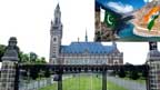  سندھ طاس معاہدہ مکمل نافذ العمل ، بھارت پابندی کرے : ثالثی عدالت 