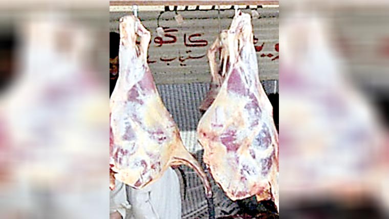  450 کلو ناقص گوشت تلف 