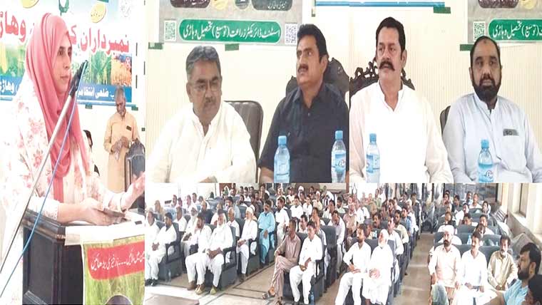  فصلوں کی باقیات مناسب طریقے سے تلف کرنیکی ہدایت