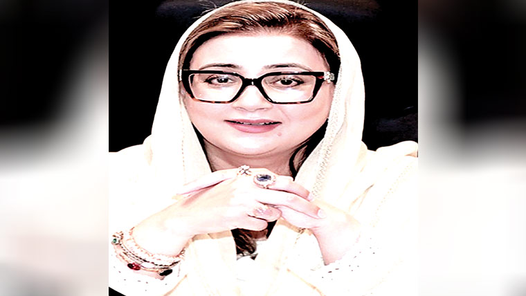  مڈل کلاس چارٹر طیارے پر سیر کر رہا 