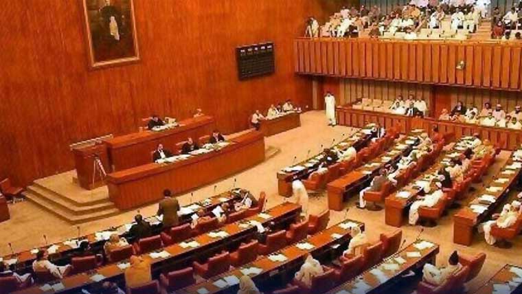 حکومت بڑے منصوبوں کی تکمیل کی ٹائم لائن دے ،سینیٹ کمیٹی