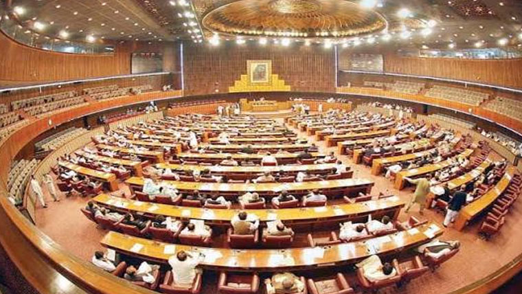  پاکستانیوں کی بے دخلی  خارجہ کمیٹی کااظہار تشویش
