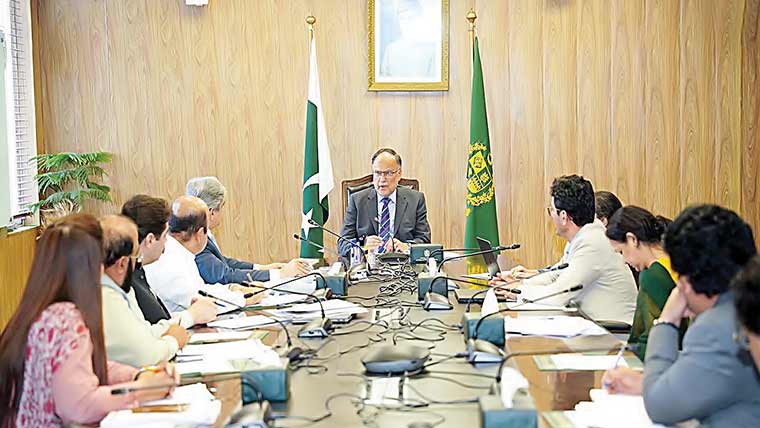 دانش سکولوں میں اساتذہ کی متناسب بھرتی کی جائے :احسن اقبال