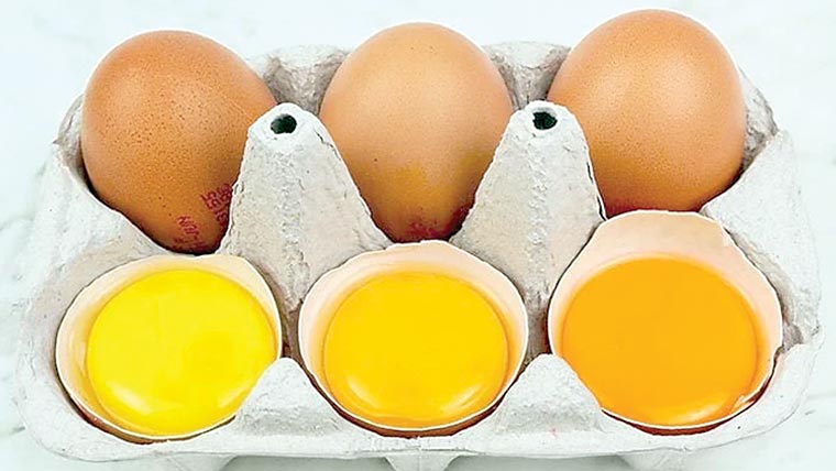 انڈہ ے کی زردی کو پسند کیمطابق ابالنے کے 6بہترین وقت