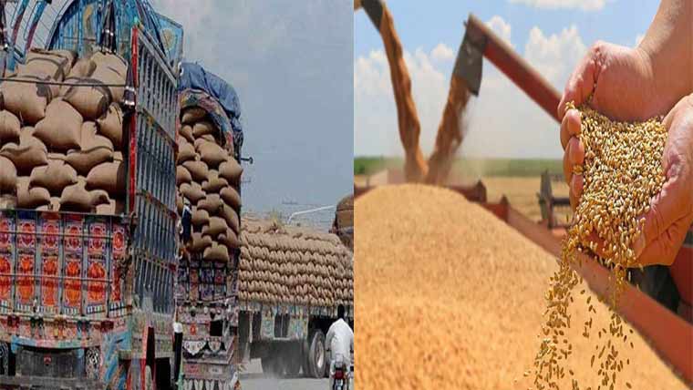 گندم کی قلت کی بنیادی وجہ اسمگلنگ ہے، عبدالرؤف ابراہیم 